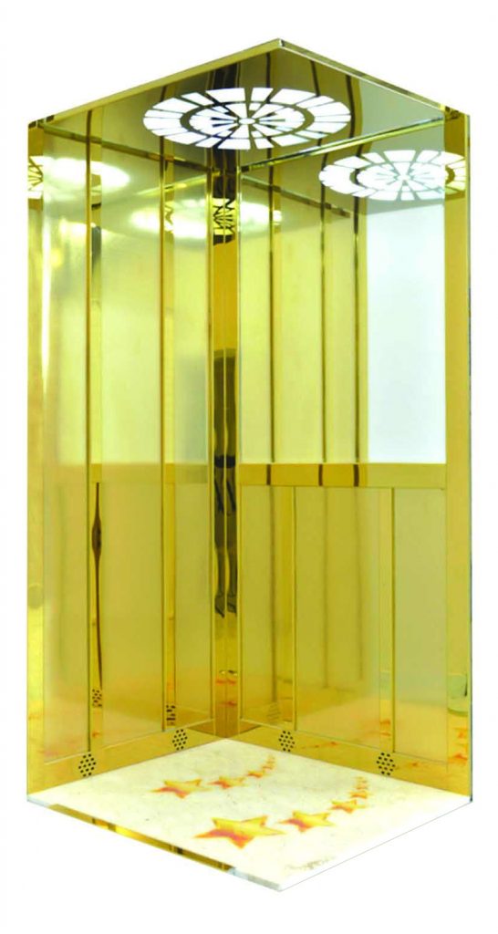 كبينة جلد الفيل ذهبي 220